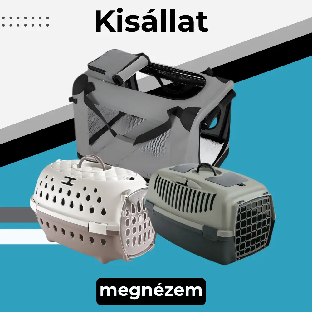 Kisállat